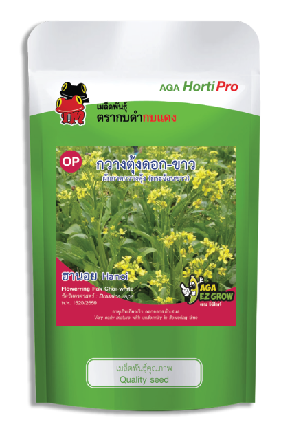เมล็ดกวางตุ้งดอกขาว ฮานอย ซอง 100 g.