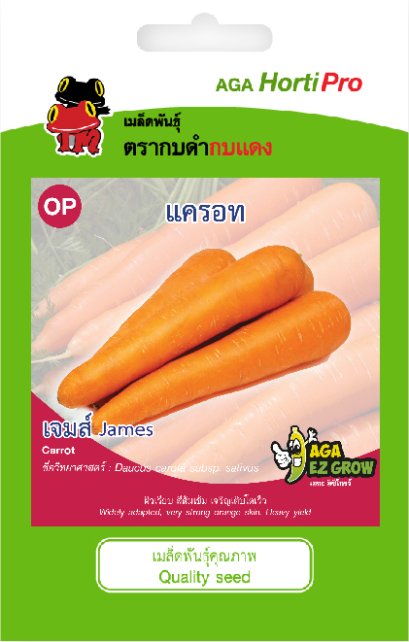 เมล็ดแครอท เจมส์ ซ. 1g