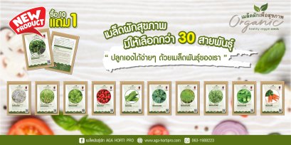 เมล็ดพันธุ์ผัก เพื่อสุขภาพ ตรากบดำกบแดง ซื้อ 10 แถม 1