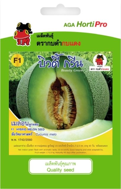 เมล็ดเมล่อน บิวตี้กรีน ซ.3 เมล็ด