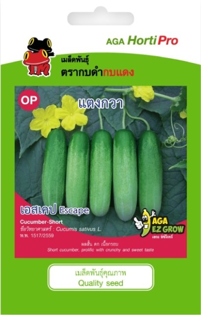 เมล็ดแตงกวา เอสเคป ซ. 3g