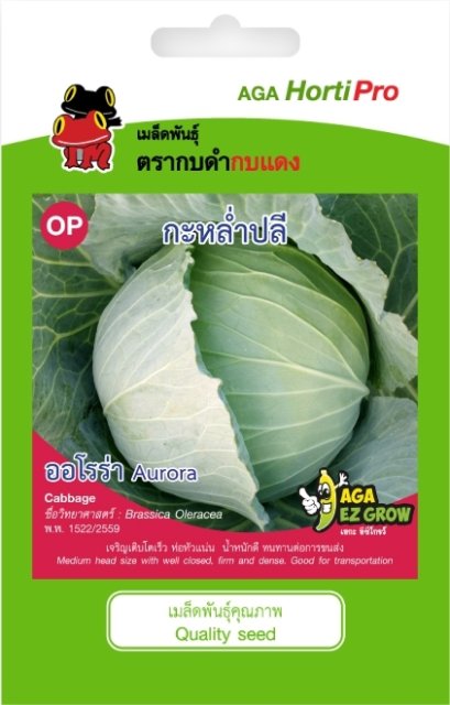 เมล็ดกะหล่ำปลี ออโรร่า ซ.0.5 g