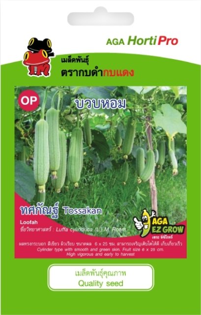 เมล็ดบวบหอม ทศกัณฑ์ ซ. 2g