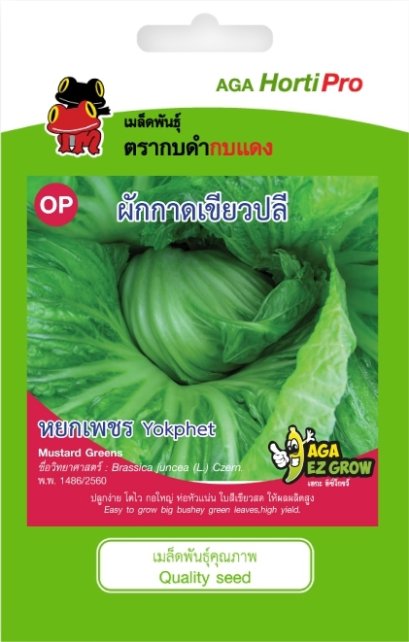 เมล็ดผักกาดเขียวปลี หยกเพชร ซ. 10g