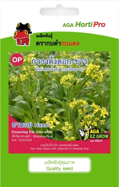 เมล็ดกวางตุ้งดอกขาว ฮานอย ซ. 10g