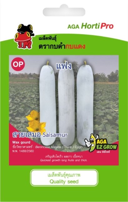 เมล็ดแฟง สายเสมอ ซ. 1g.