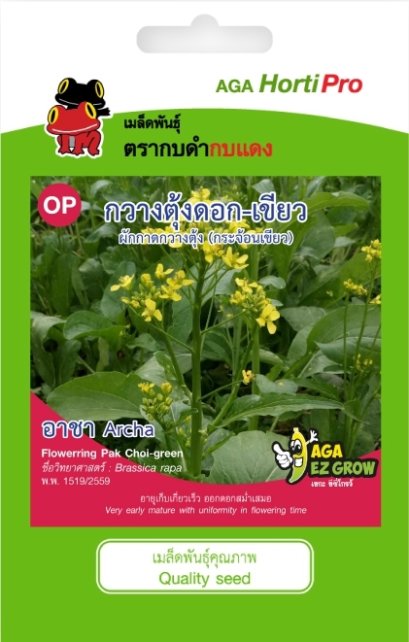 เมล็ดกวางตุ้งดอกเขียว อาชา ซ. 10g