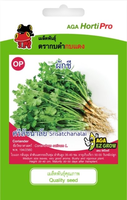 เมล็ดผักชี ศรีสัชนาลัย ซ.10 g.