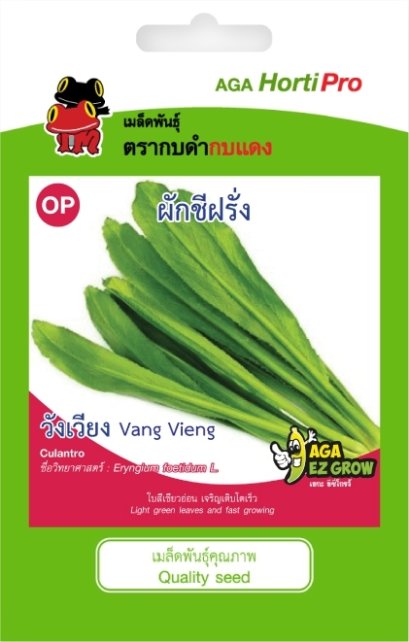 เมล็ดผักชีฝรั่ง วังเวียง ซ. 0.5g