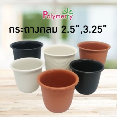 กระถางแคคตัส 2.5 3 นิ้ว