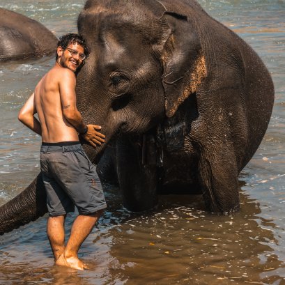 Full Day Visit to Elephant Natural Habitat