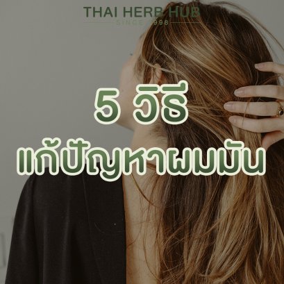 5 วิธีแก้ปัญหาผมมัน อย่างธรรมชาติ