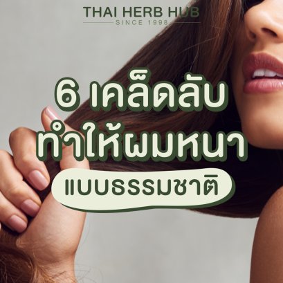 6 เคล็ดลับ! ทำให้ผมหนา แบบธรรมชาติ