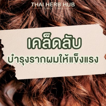 เคล็ดลับบำรุงรากผมให้แข็งแรง