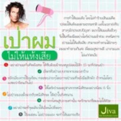 เป่าผมไม่ให้แห้งเสีย