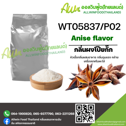 กลิ่นผงโป๊ยกั๊ก (WT05837/P02) Anise FLAVOR (POWDER)