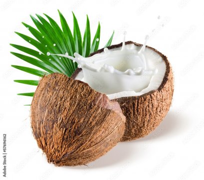 กลิ่นกะทิ(WT75912) Coconut milk flavour