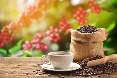 COFFEE FLAVOUR(AW61003)