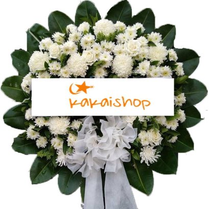 สายรุ้ง 