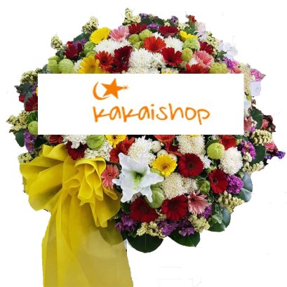 มารุโก๊ะ