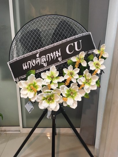 แพนเตอร์