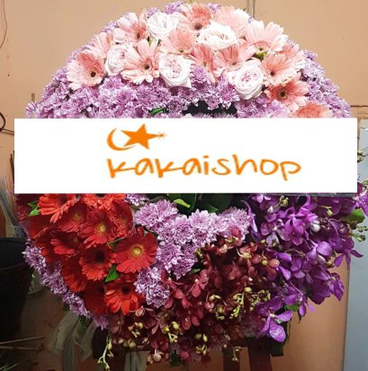 ชลภิวัฒน์