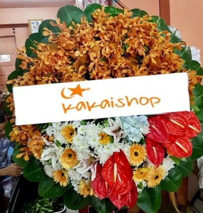 ดาวกระจาย