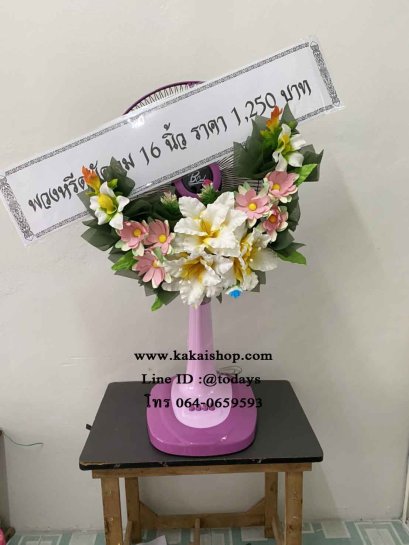 อัจจิมา