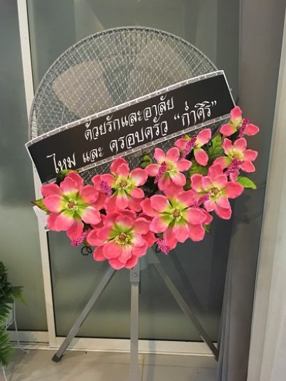 โปโตกัส