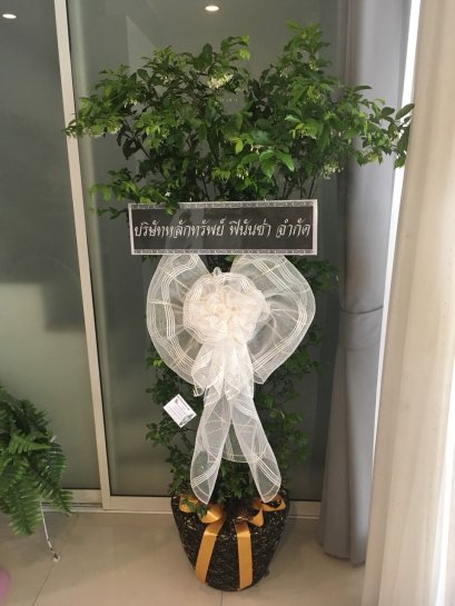 พวงหรีด ต้นโมก