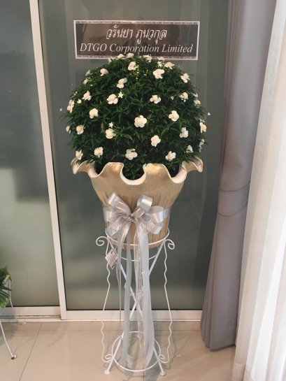 พวงหรีด ต้นพุดศุภโชค