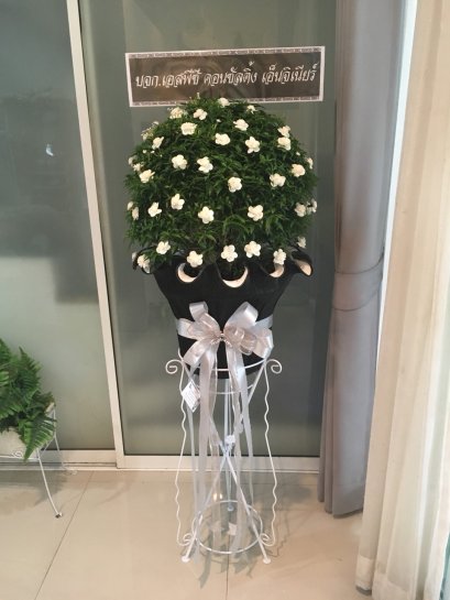 พวงหรีด ต้นพุดศุภโชค