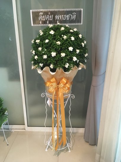 พวงหรีด ต้นพุดศุภโชค