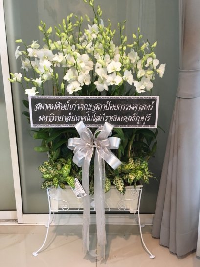 พวงหรีด ต้นกล้วยไม้หวาย ใส่ราง