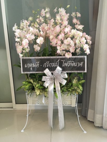 พวงหรีด ต้นกล้วยไม้หวาย ใส่ราง