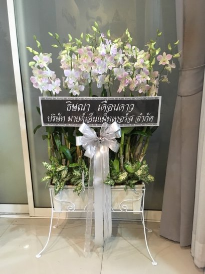 พวงหรีด ต้นกล้วยไม้หวาย ใส่ราง