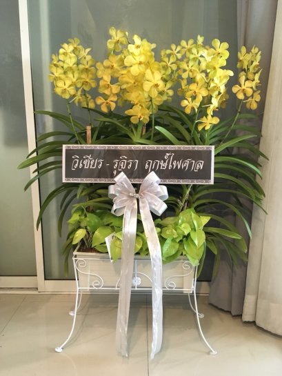 พวงหรีด กล้วยไม้ม๊อคคาร่า ใส่ราง