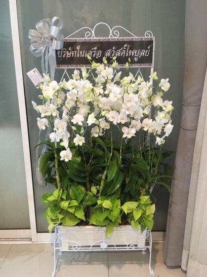 พวงหรีด กล้วยไม้ม๊อคคาร่า ใส่ราง