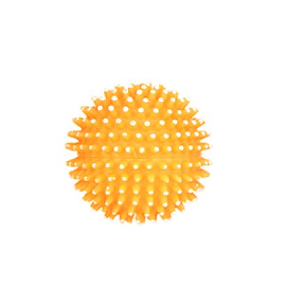 dog toy