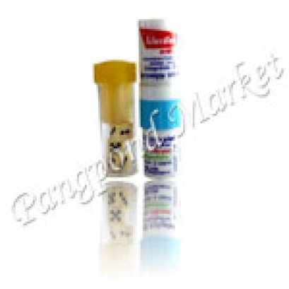 หลอดยาดม