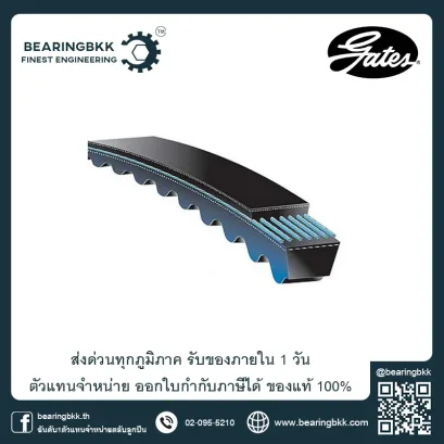 สายพานร่องฟัน สายพานร่องวี ตัวแทนจำหน่าย GATES 3VX 5VX 8VX METRIC POWER COGGED BELT
