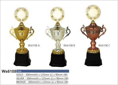 ถ้วยรางวัลซิลเวอร์ รหัส Ws6108