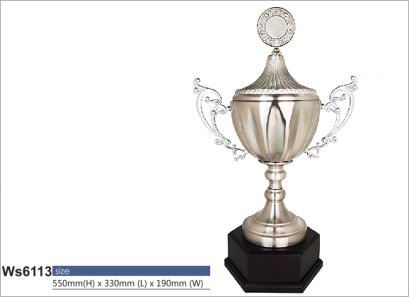 ถ้วยรางวัลซิลเวอร์ รหัส Ws6113