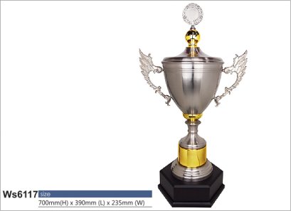 ถ้วยรางวัลซิลเวอร์ รหัส Ws6117