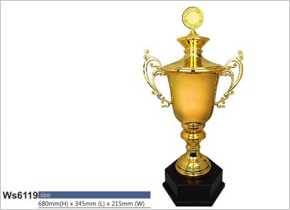 ถ้วยรางวัลซิลเวอร์ รหัส Ws6119
