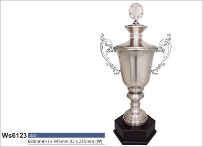 ถ้วยรางวัลซิลเวอร์ รหัส Ws6123