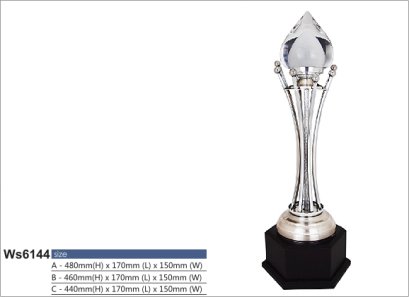 ถ้วยรางวัลซิลเวอร์ รหัส Ws6144