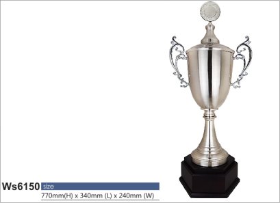ถ้วยรางวัลซิลเวอร์ รหัส Ws6150