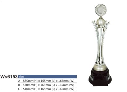 ถ้วยรางวัลซิลเวอร์ รหัส Ws6153