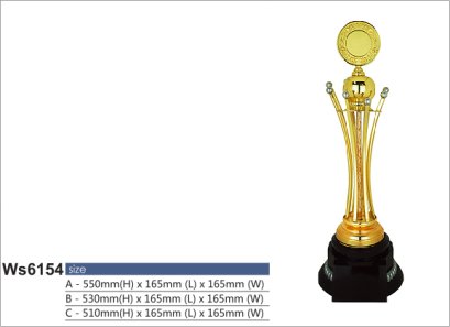 ถ้วยรางวัลซิลเวอร์ รหัส Ws6154